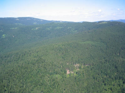 Bayerischer Wald