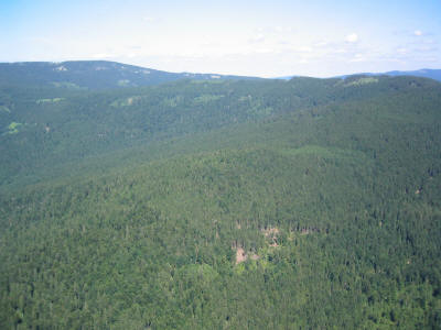 Bayerischer Wald